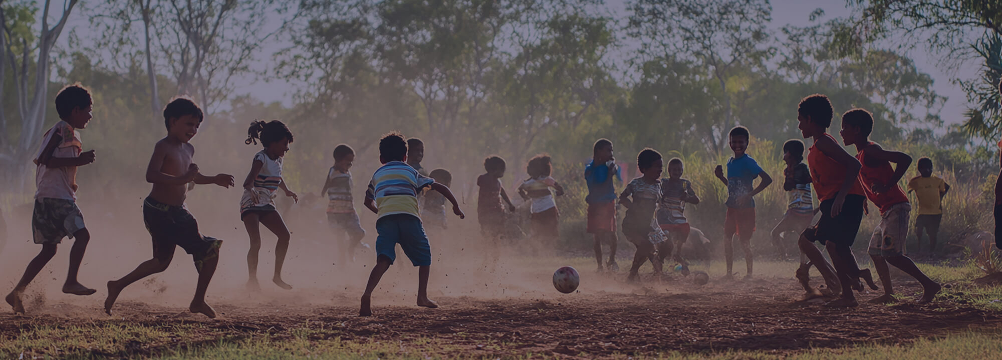 Specialised Coaching